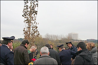 Anteprima - Clicca per ingrandire